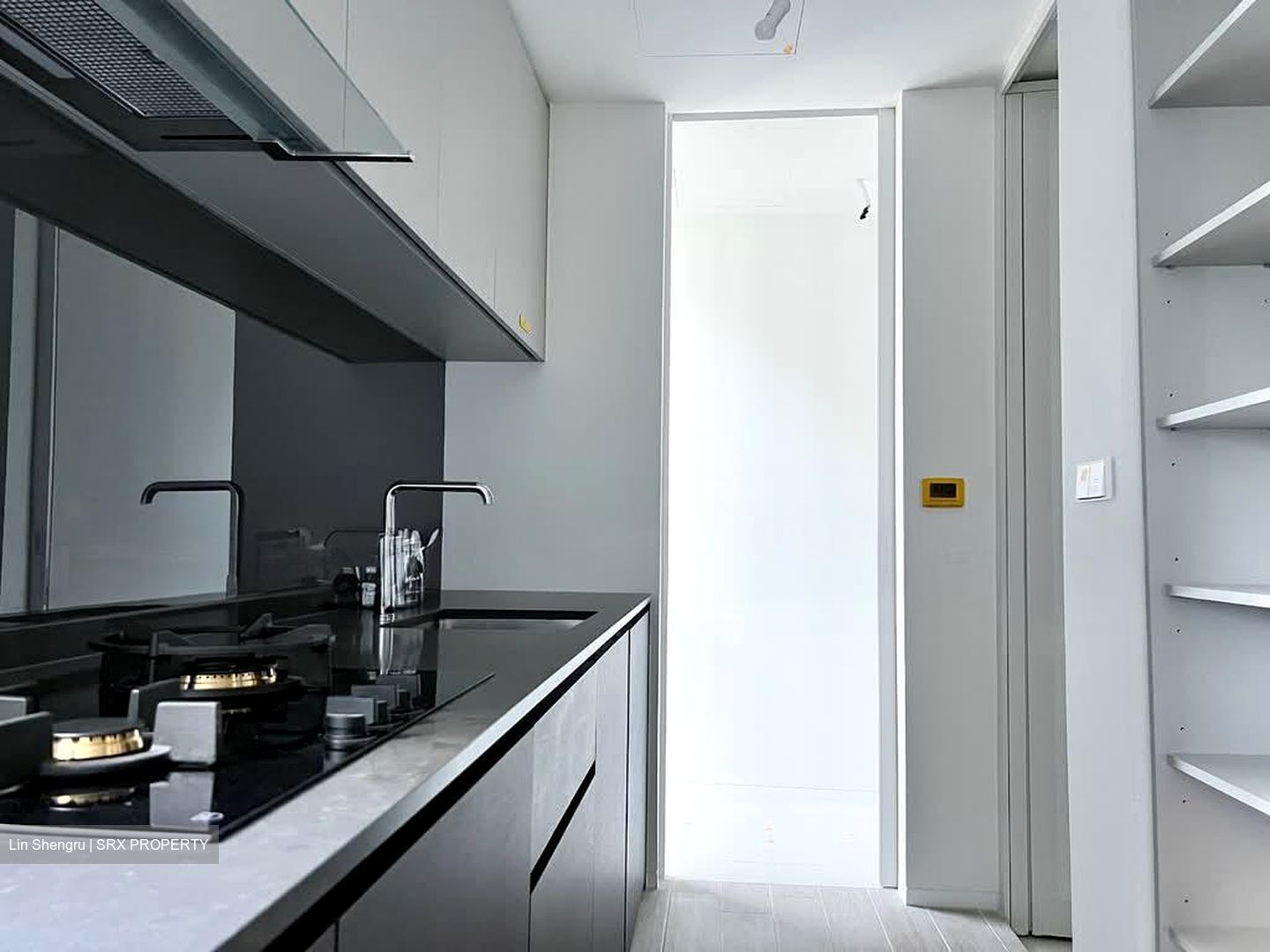 Amber Park (D15), Condominium #566730131